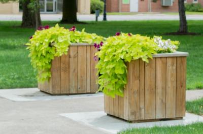 Planters